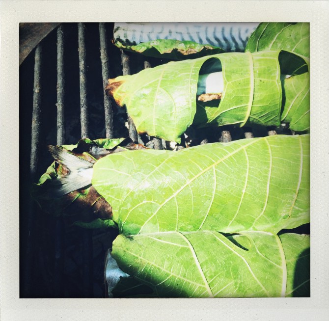 photo B. Giambiasi, 2017