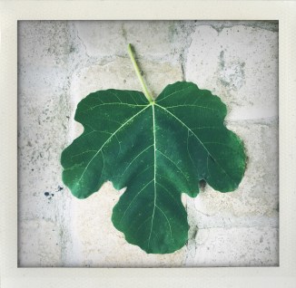 photo B. Giambiasi, 2017