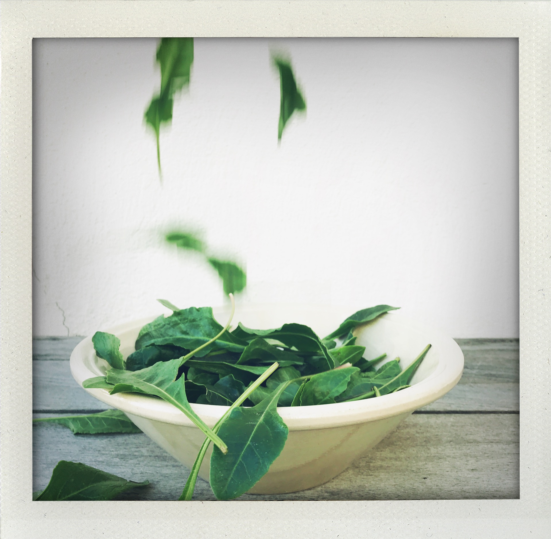 bettes maritimes ©blandine_giambiasi